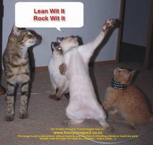 lean-with-it-rock-with-dancing-cats