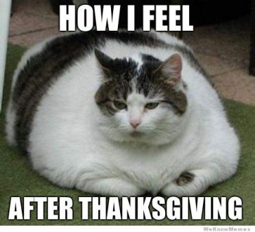 Thanksgiving-Cat-Meme-01