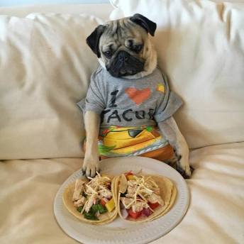 13023257_10156647324100012_375447605_n