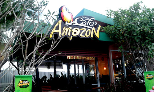 My Trip to the&nbsp;Amazon