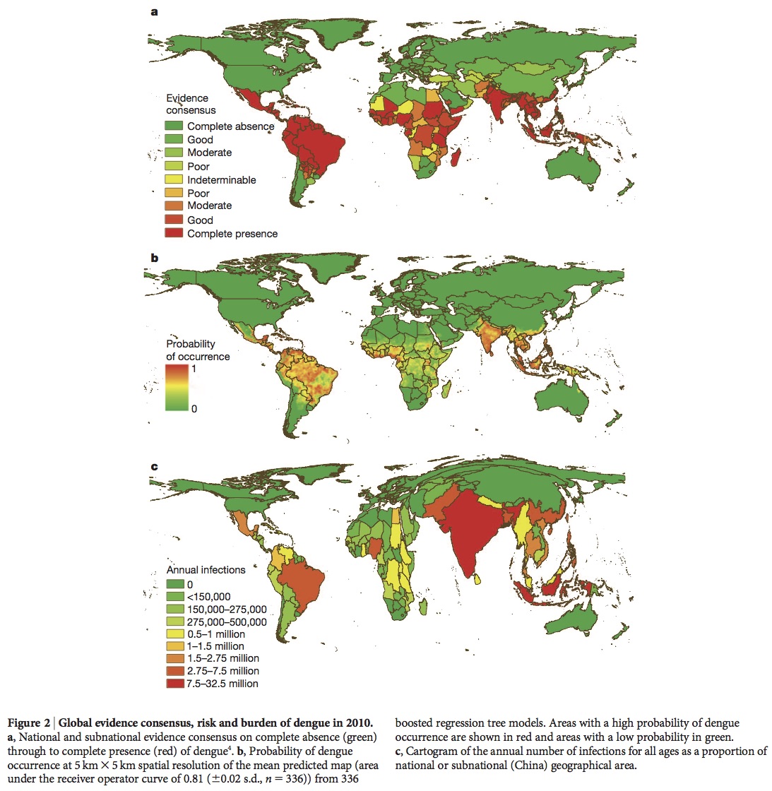 global distribution and burden of dengue