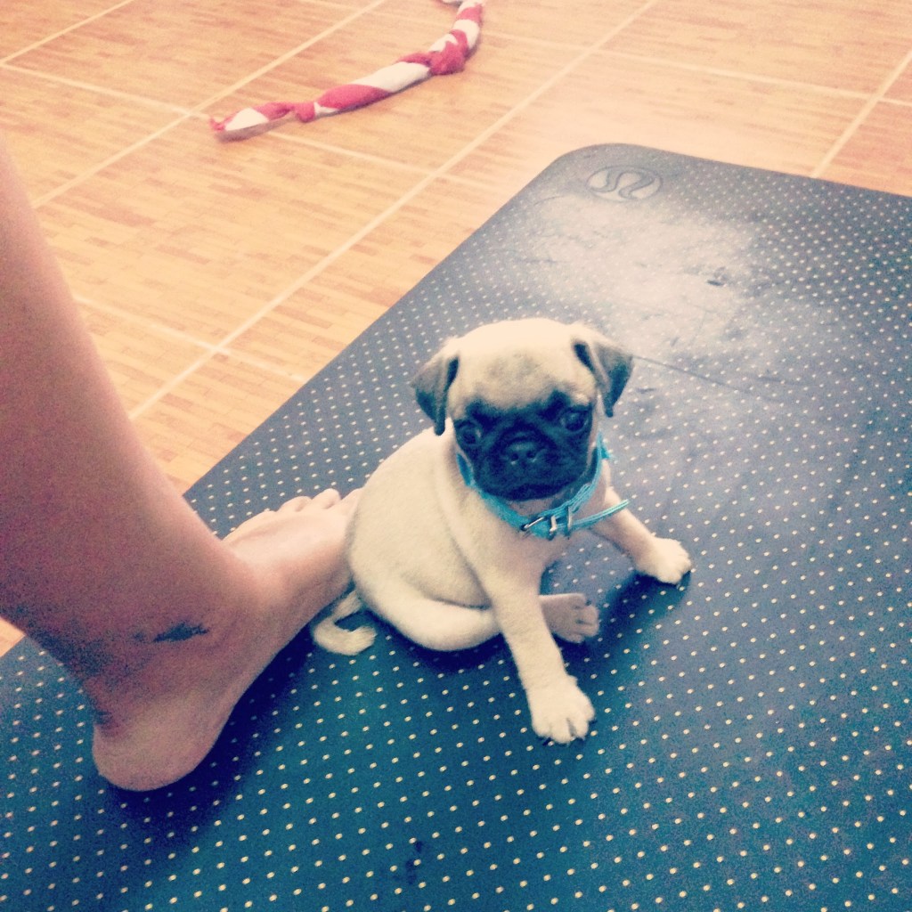 The Road to Khon Kaen: Yoga and Stretching for&nbsp;Runners