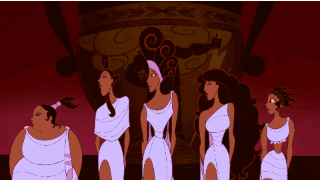 13705189_843360922435598_1867489422_n