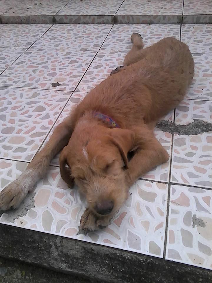 Unlikely Friendships