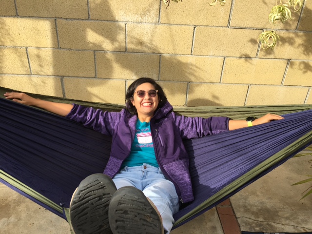 What to Expect During a&nbsp;Race