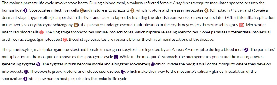 malaria-lifecycle-legend