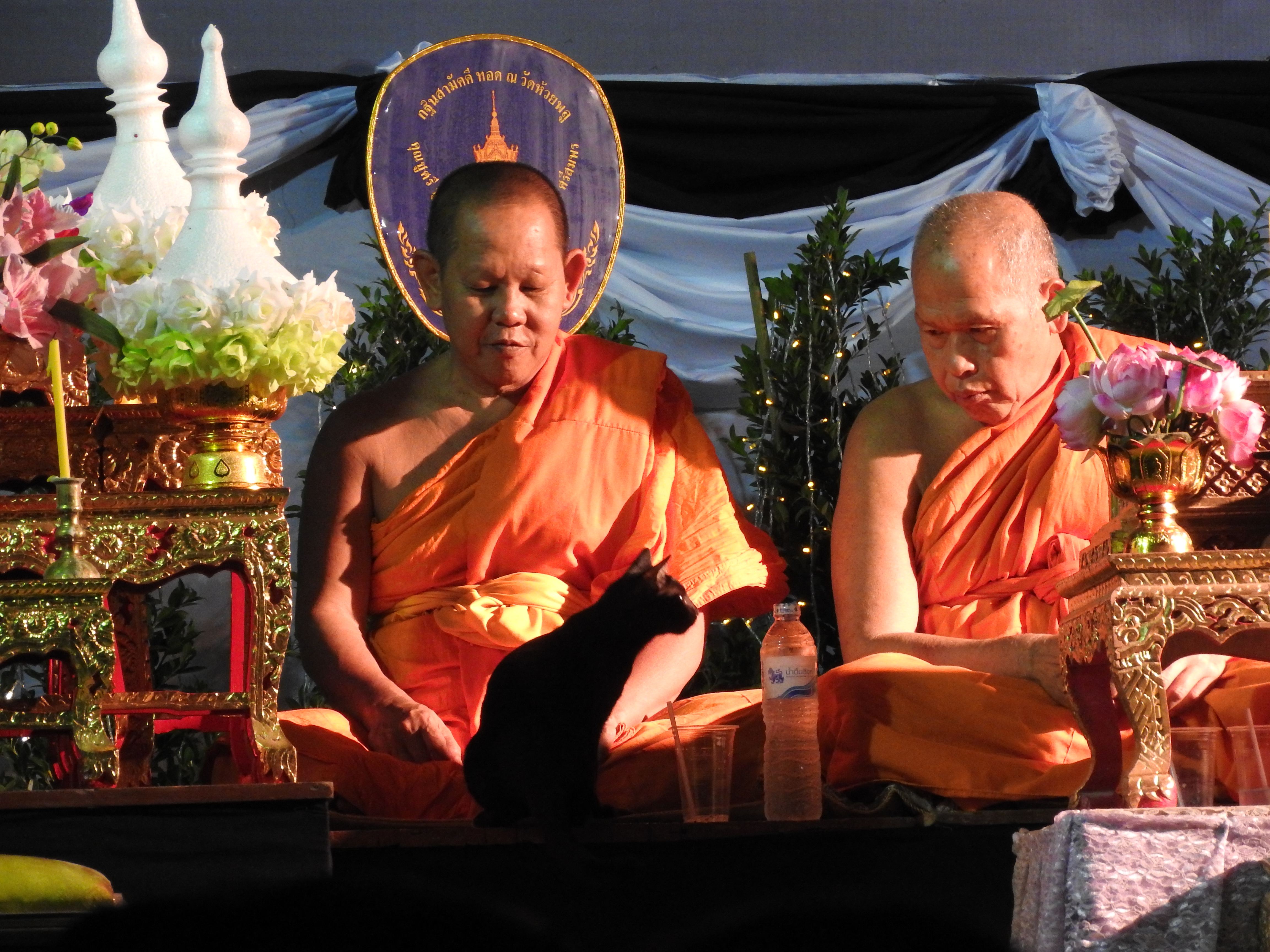 the-unexpected-winner-a-small-distraction