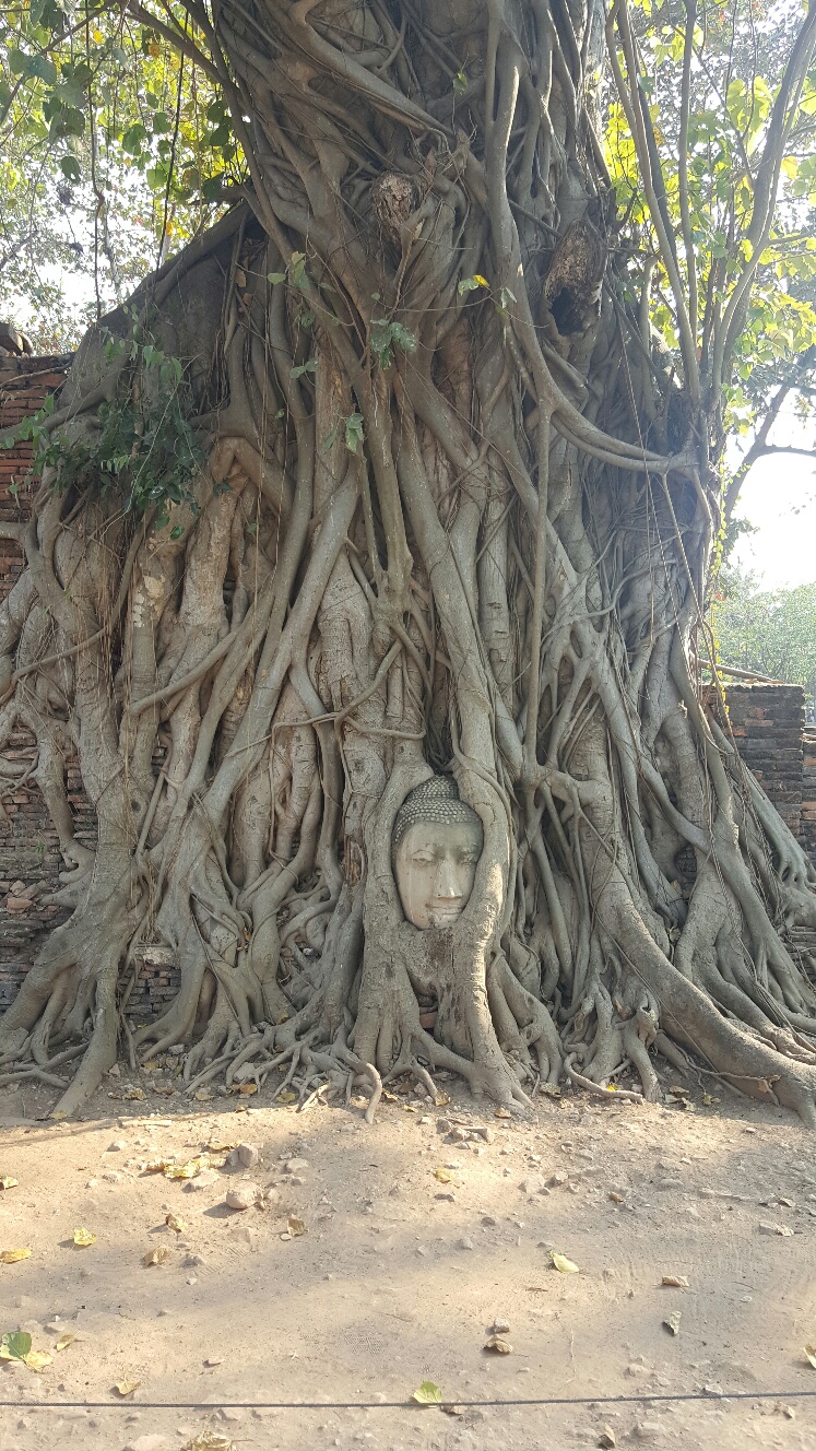 Ayutthaya Boat & Travel: Uncover Thailand’s Hidden&nbsp;Secrets