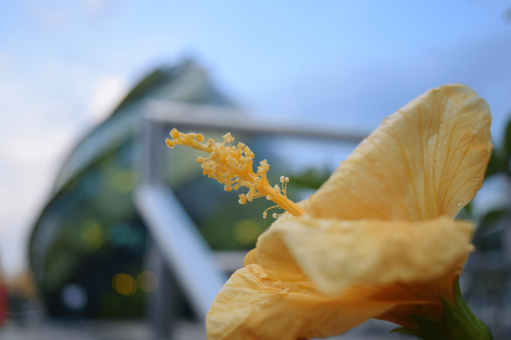 Off the Mat and Into&nbsp;Bed