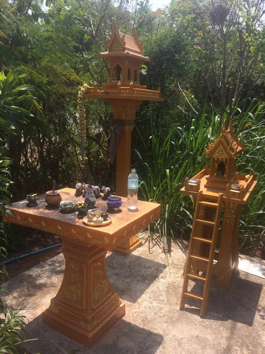 PC on the&nbsp;Brain