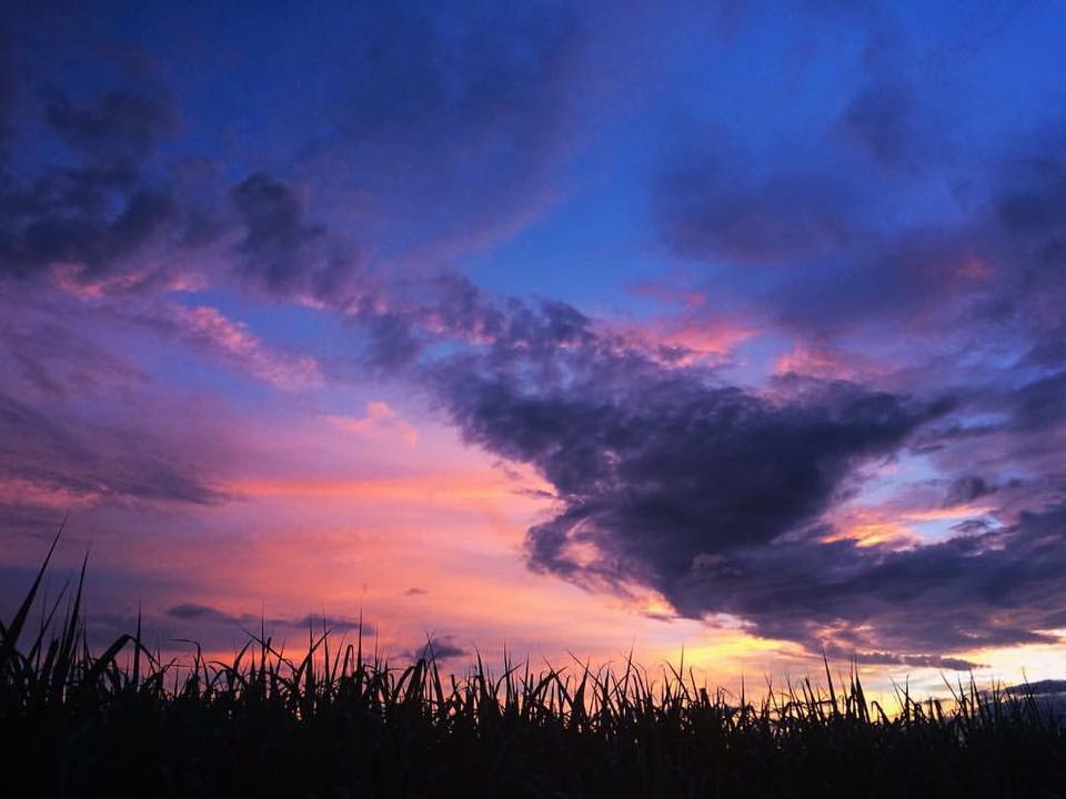 A Meditation on&nbsp;Adapting