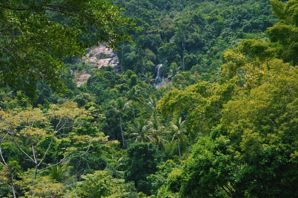 Processed with VSCO with c1 preset