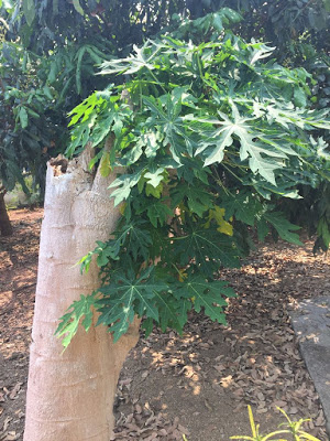 Dear Mom & Dad – Blog&nbsp;Repost