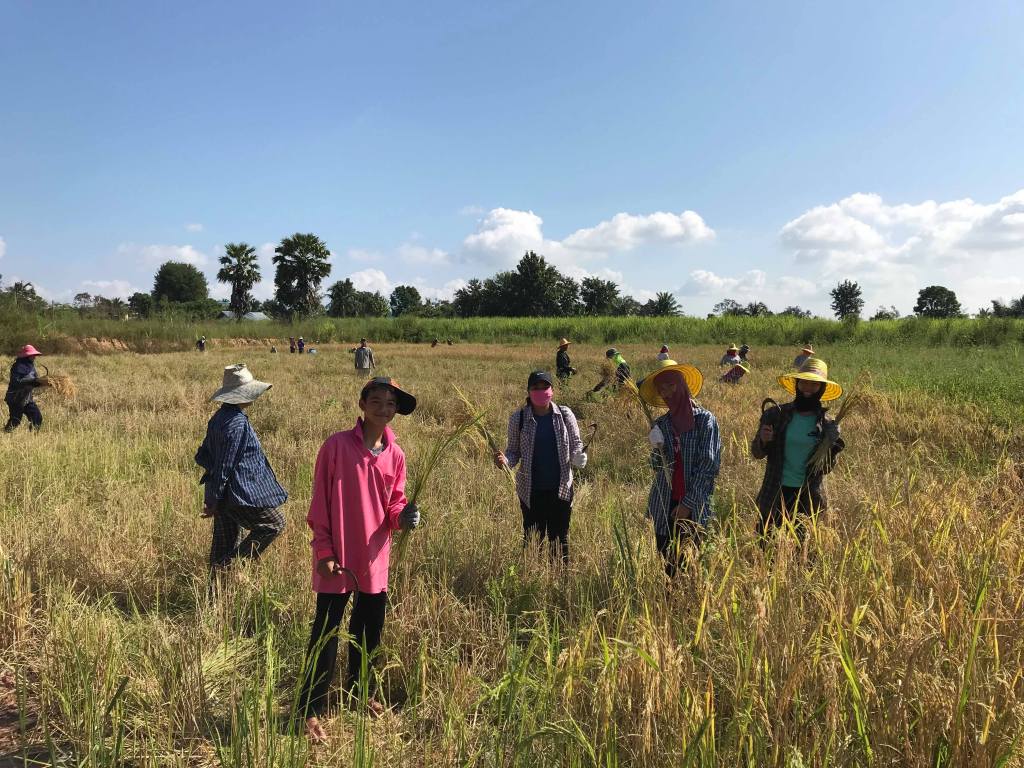 Eygiel’s Site Through Hoi’s&nbsp;Eyes