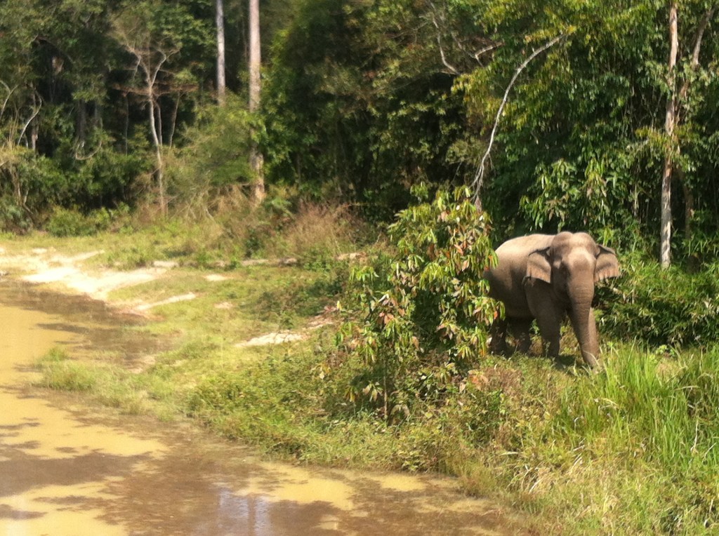 Outdoor Adventure Gems in&nbsp;Thailand