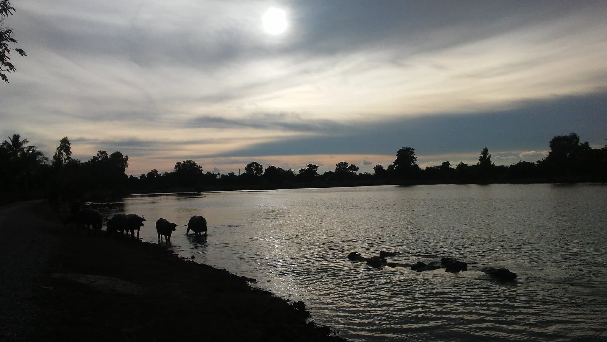 36456307_399494197228116_2503710825395519488_n