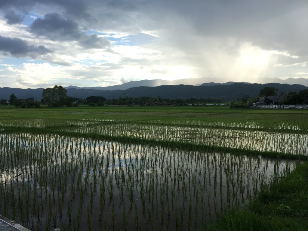 Be Proud of Your&nbsp;Journey