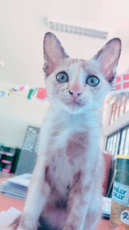 84447043_115972223169925_5976556587064492032_n