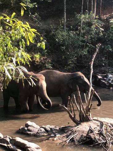 84577372_486260025630604_5923267746707013632_n