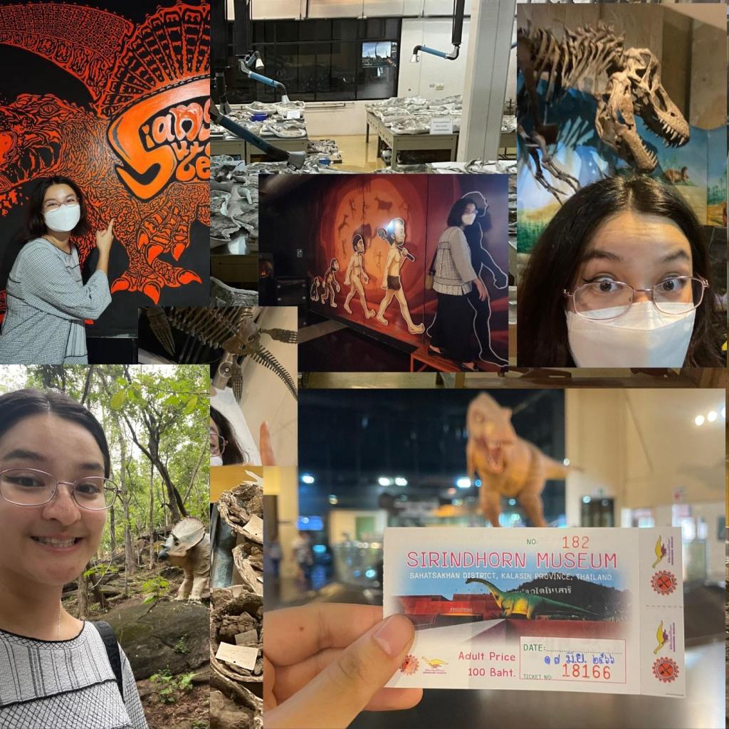 Take Me To: Jangwat Dinosao (Dinosaur&nbsp;Province)