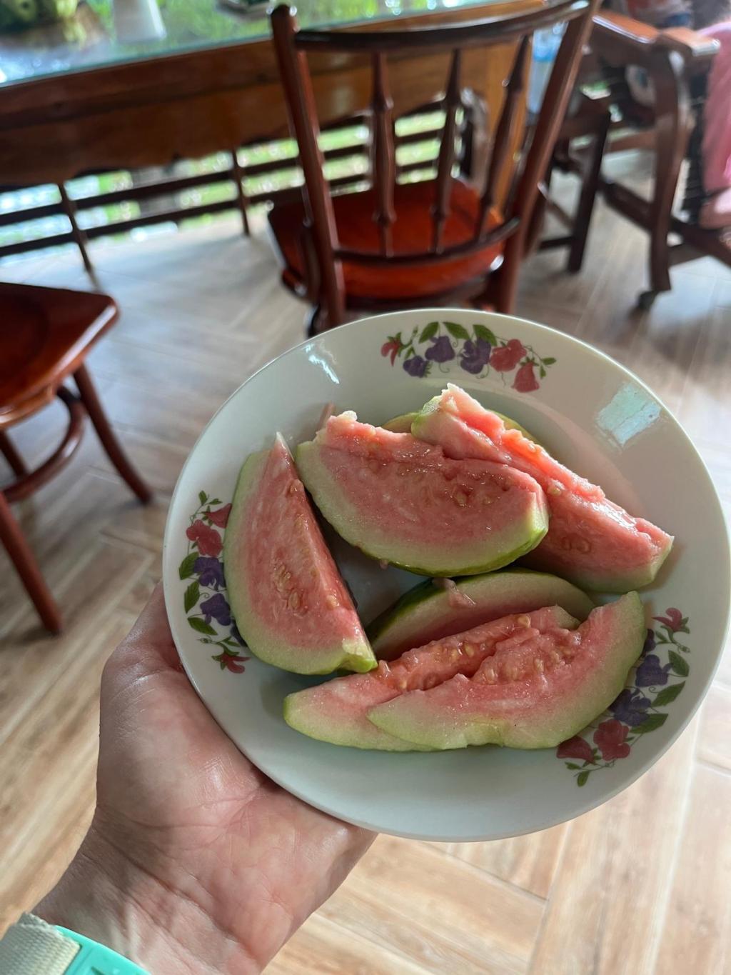 SSFF – Guest Post:&nbsp;Farang