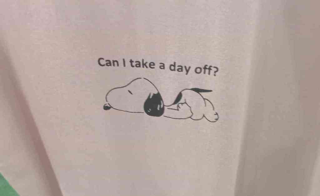 Everyday Wear… Not?